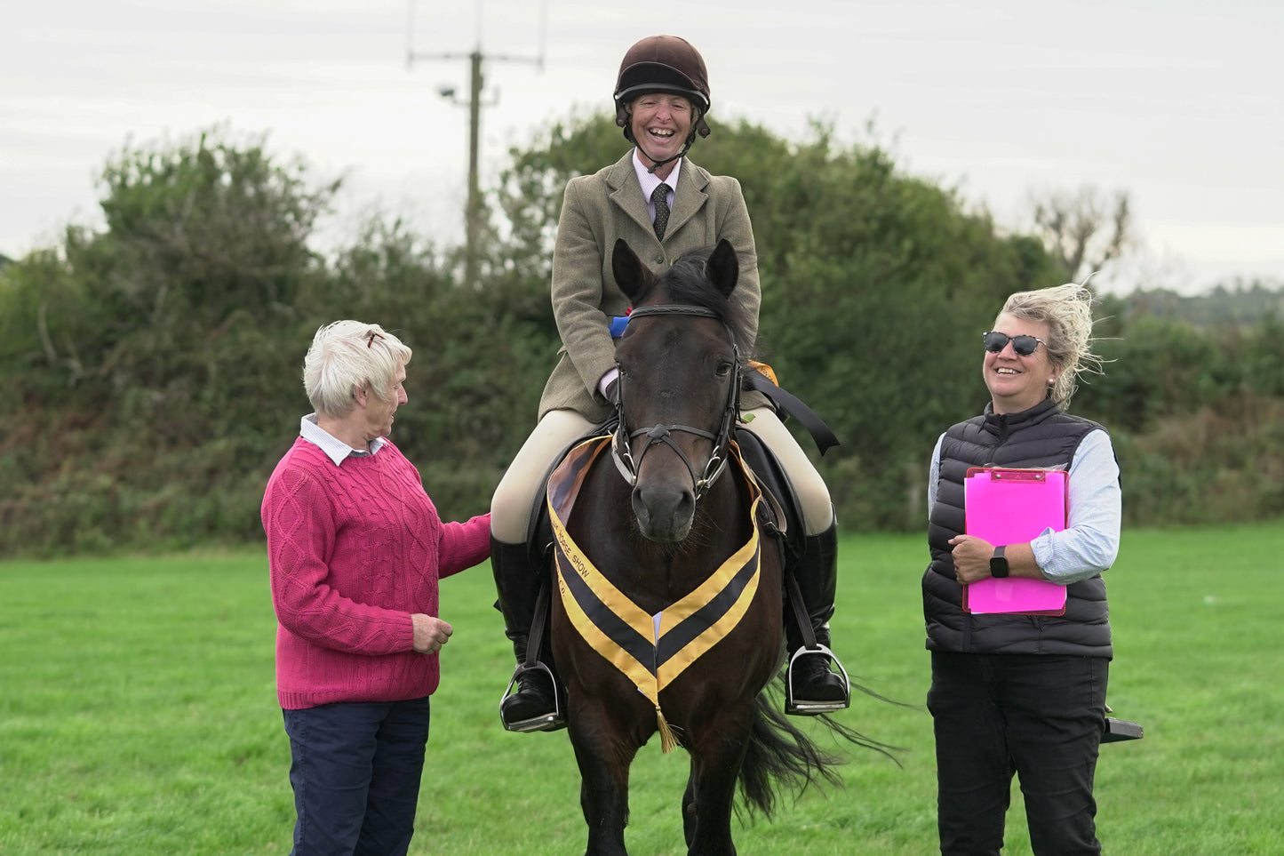 lanlivery show jumping rings part 4