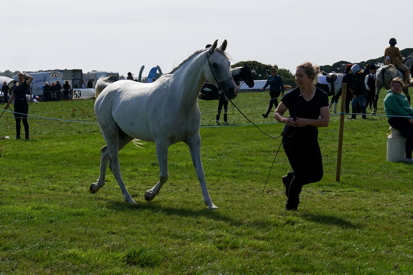 lanlivery show in hand part 4