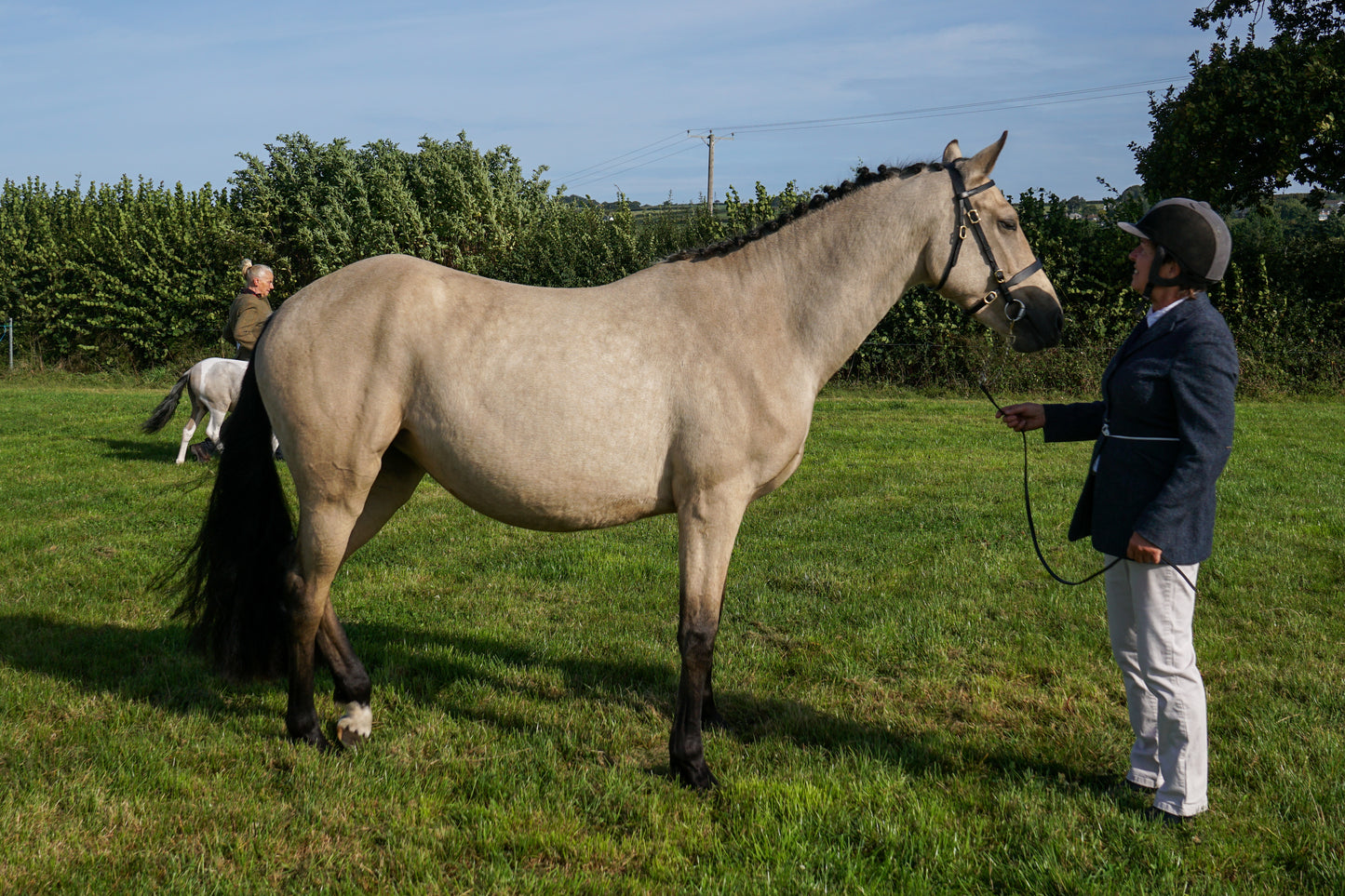 lanlivery show in hand part 1