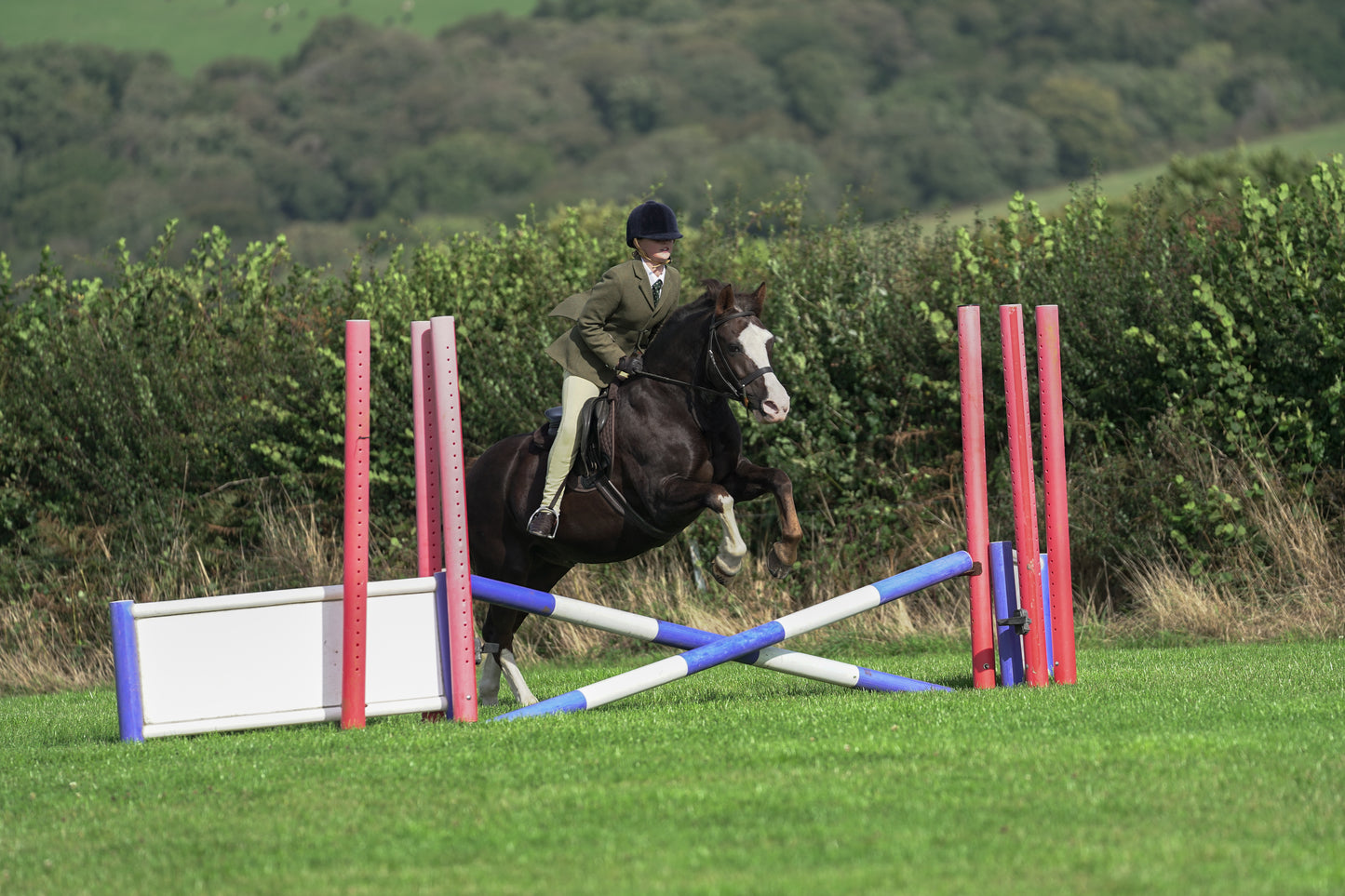 lanlivery show jumping rings part 1