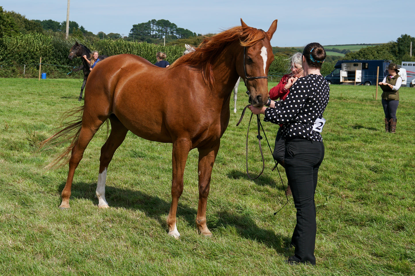 lanlivery show in hand part 4