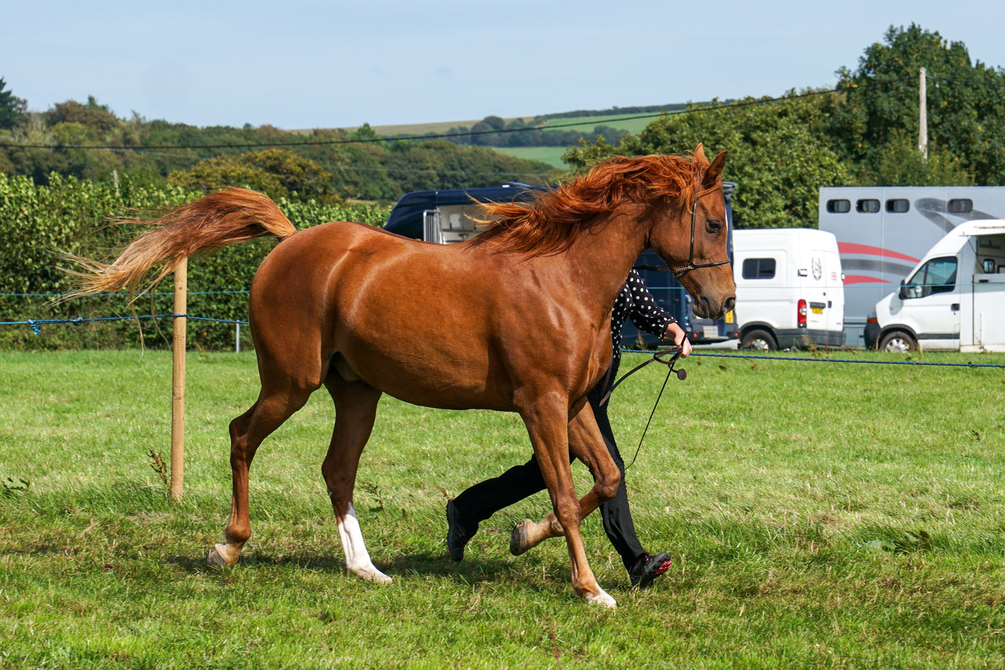 lanlivery show in hand part 4
