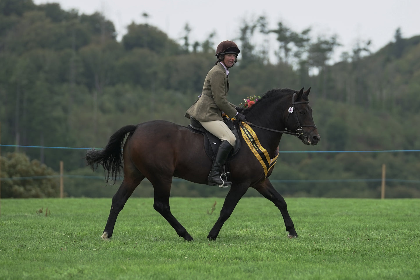 lanlivery show jumping rings part 4