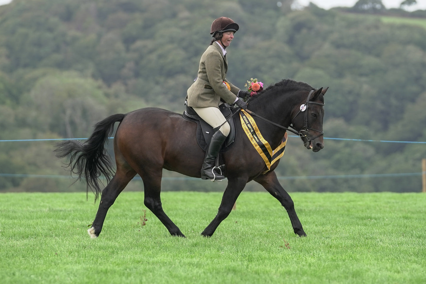 lanlivery show jumping rings part 4