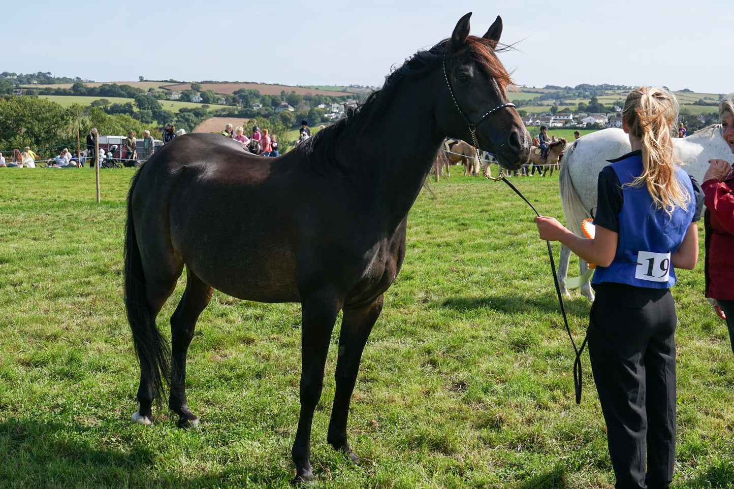 lanlivery show in hand part 4
