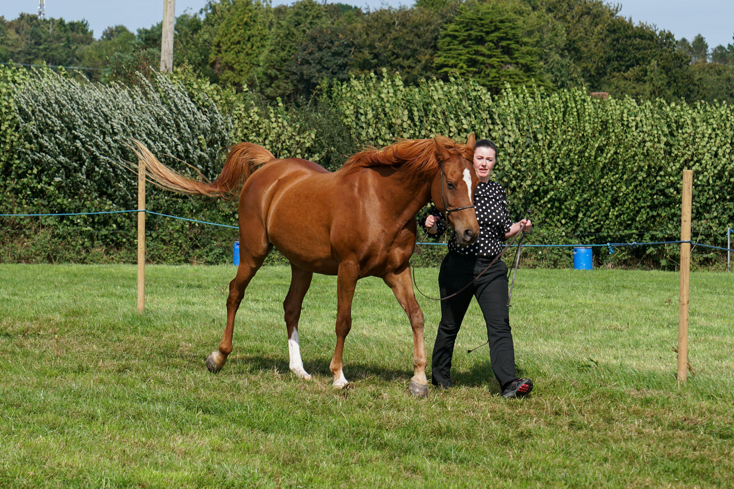 lanlivery show in hand part 4