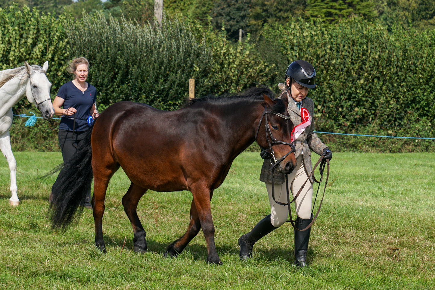 lanlivery show in hand part 4