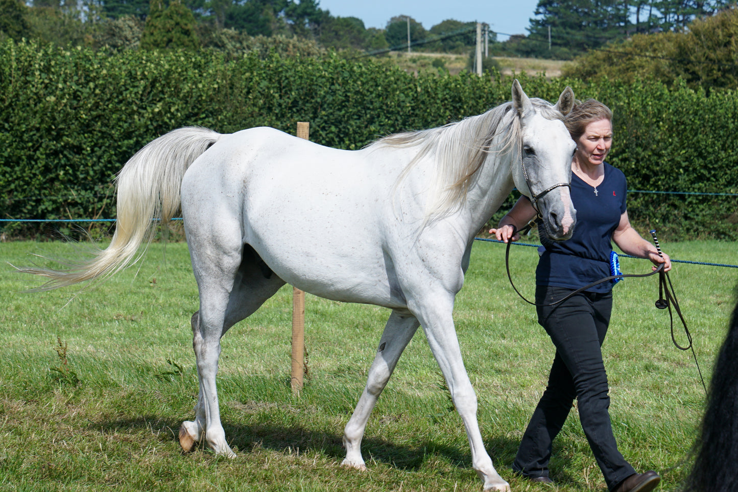 lanlivery show in hand part 4