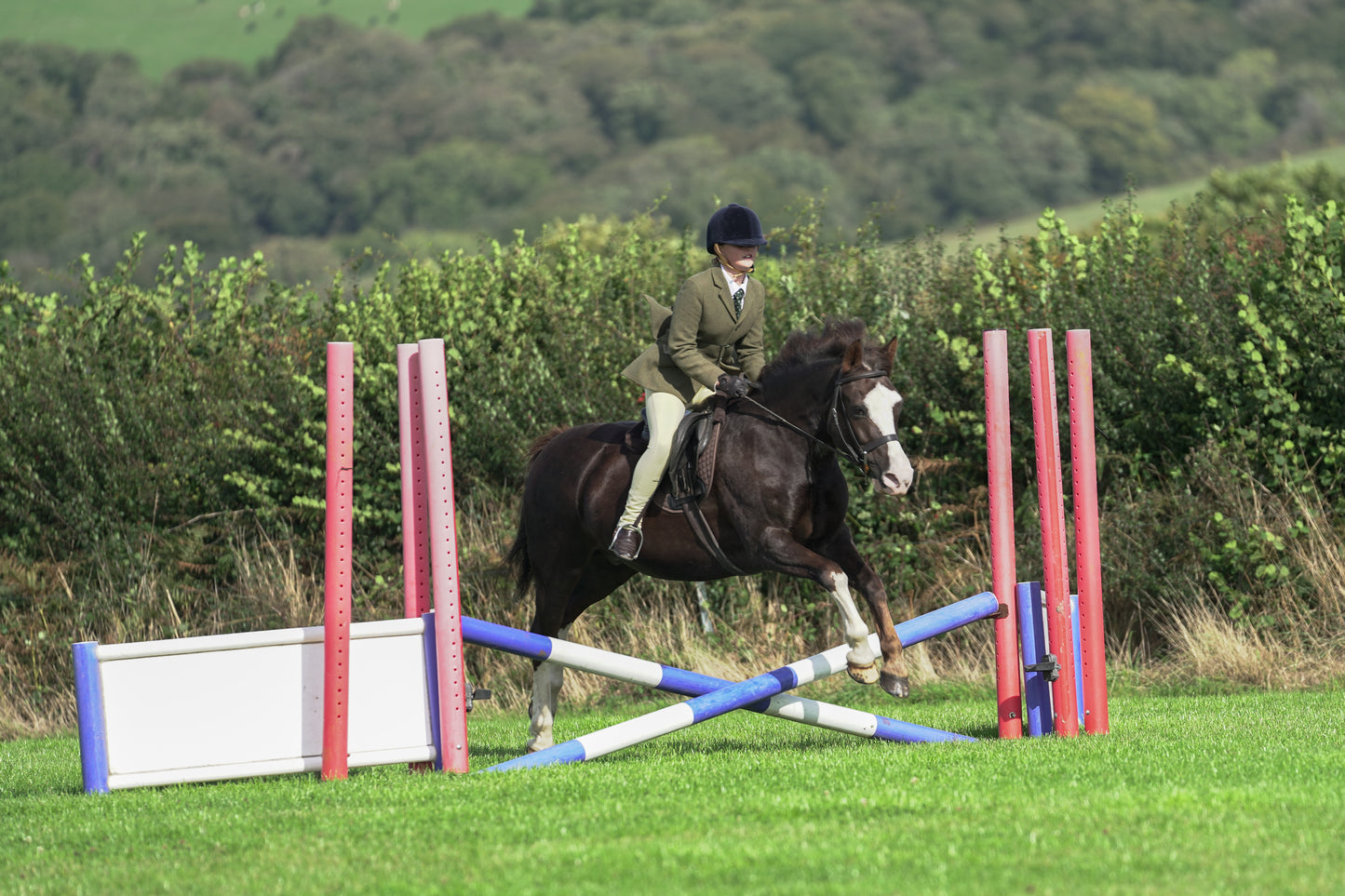 lanlivery show jumping rings part 1
