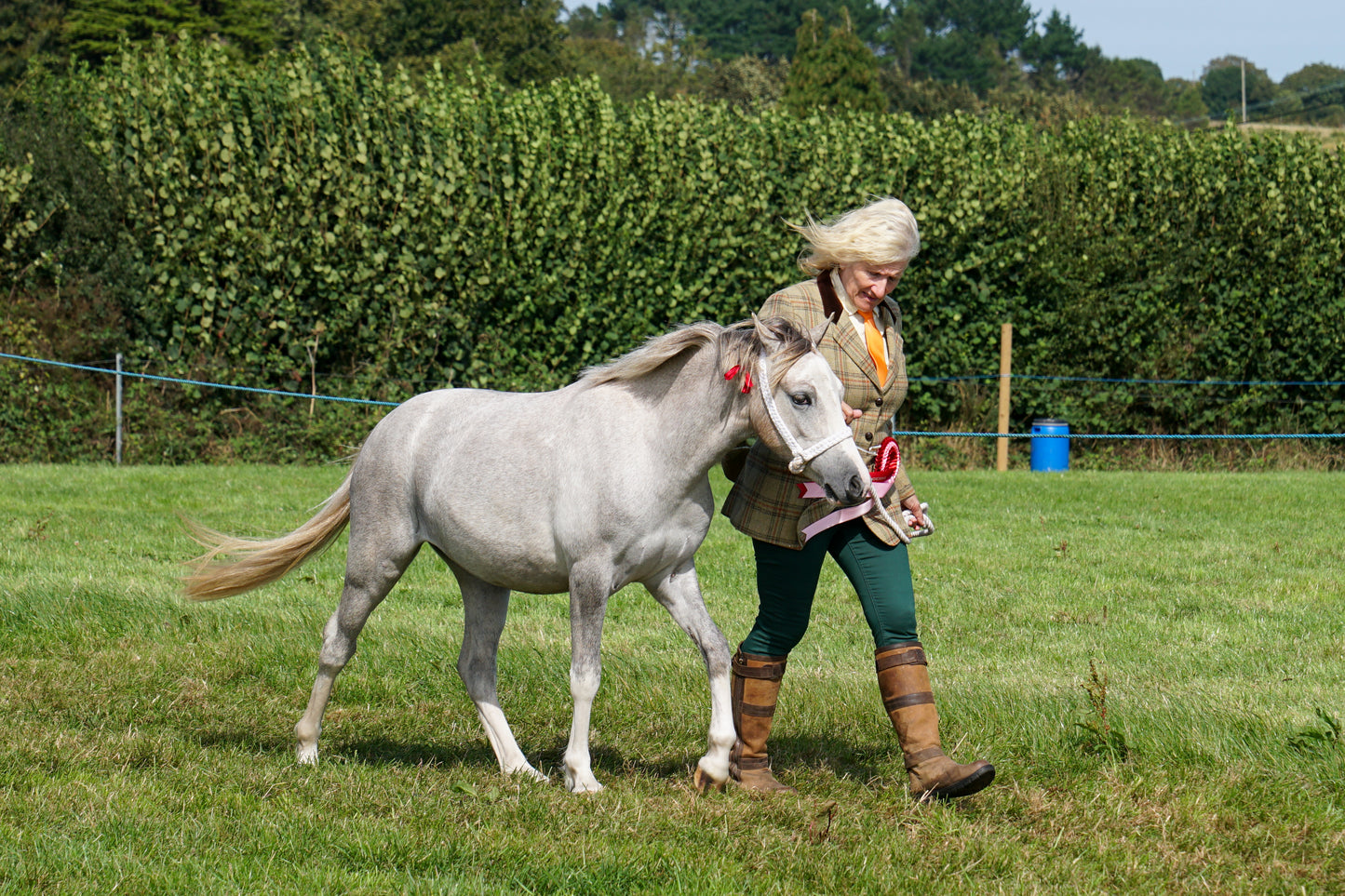 lanlivery show in hand part 4