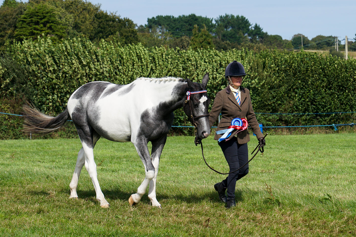lanlivery show in hand part 4