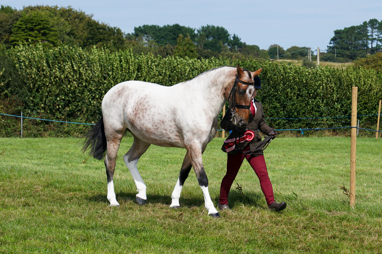 lanlivery show in hand part 4