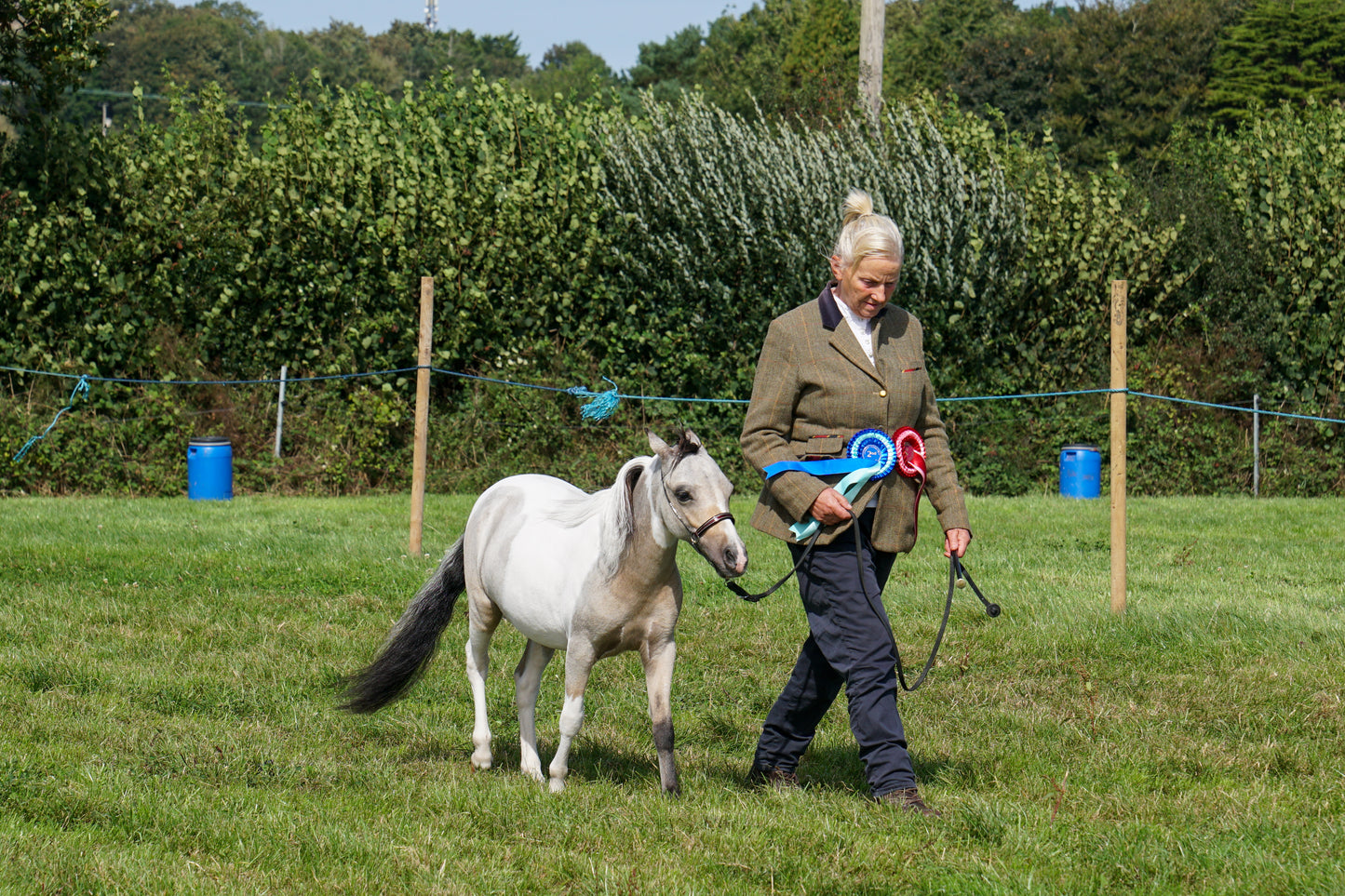 lanlivery show in hand part 4