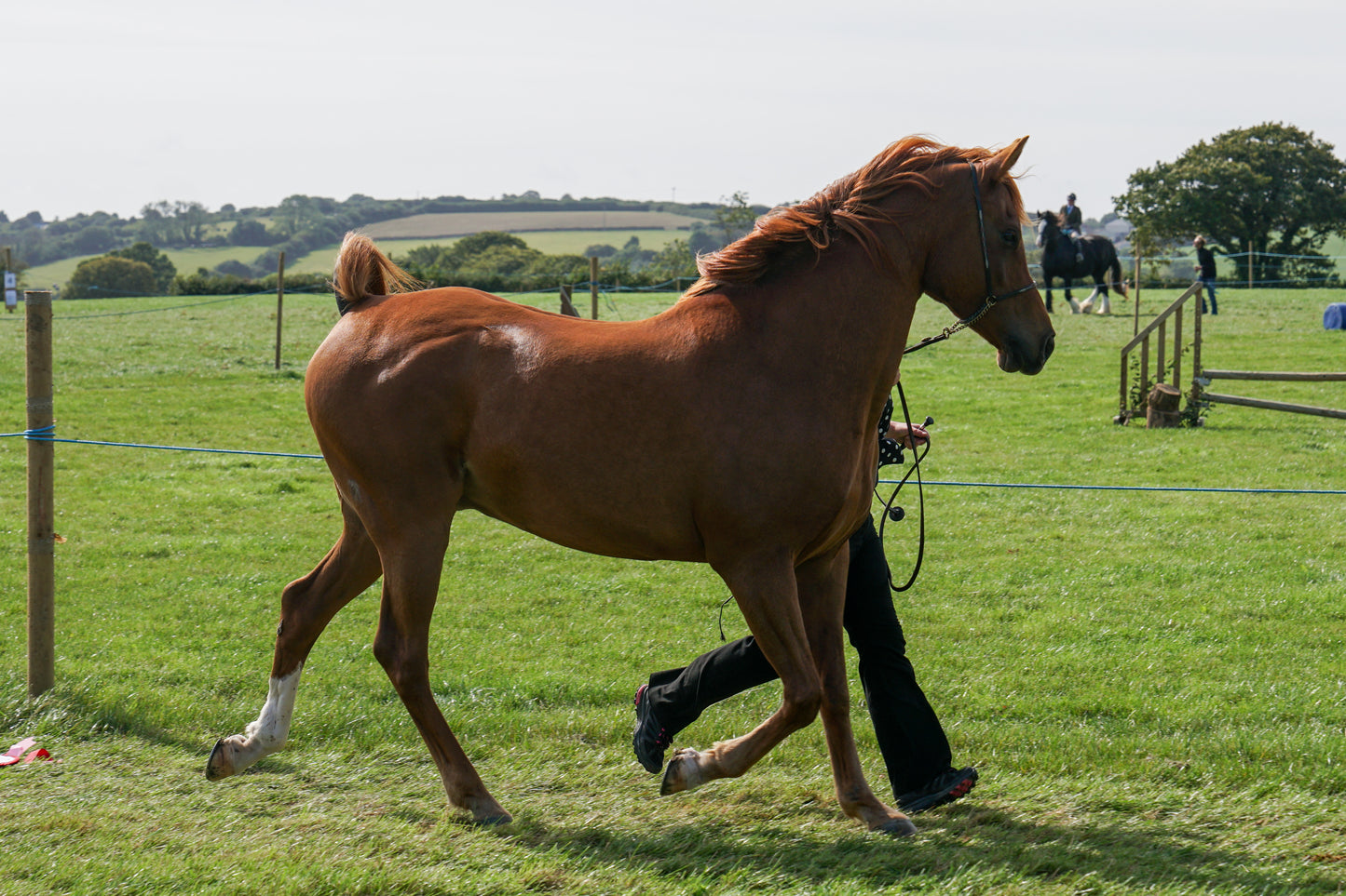 lanlivery show in hand part 4
