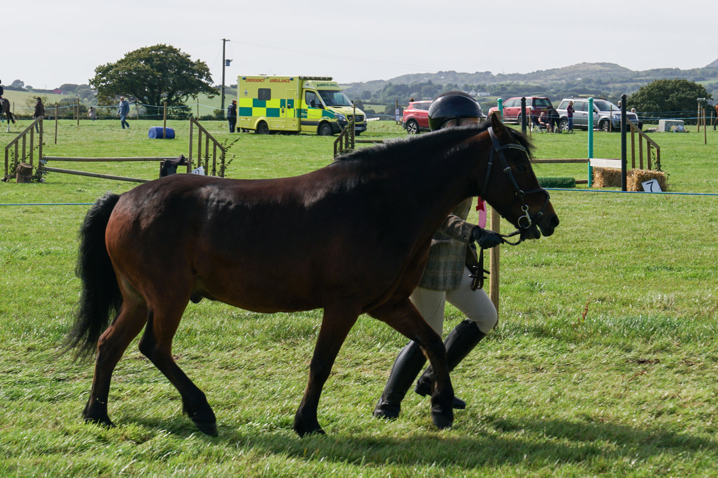 lanlivery show in hand part 4