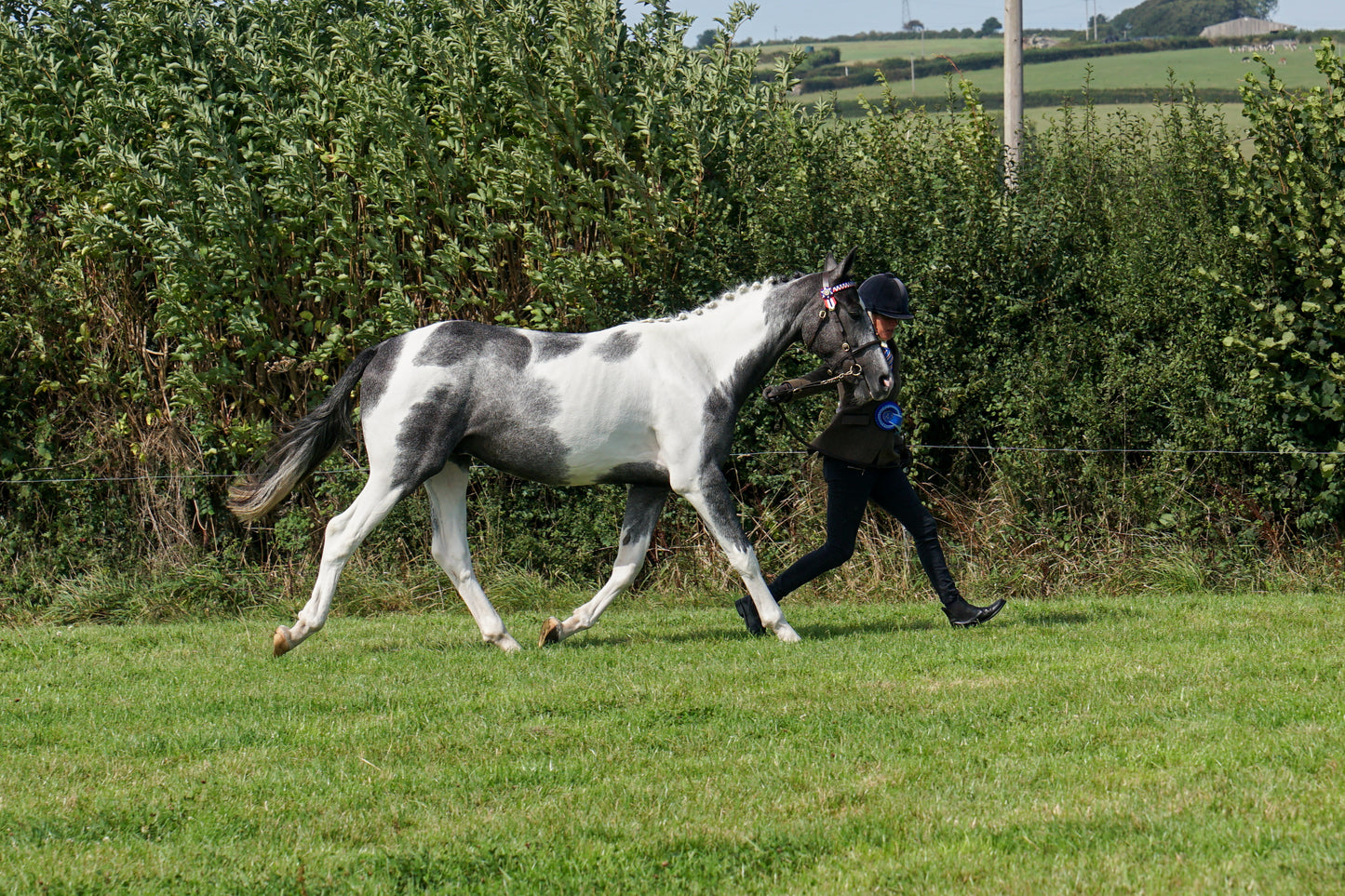 lanlivery show in hand part 4
