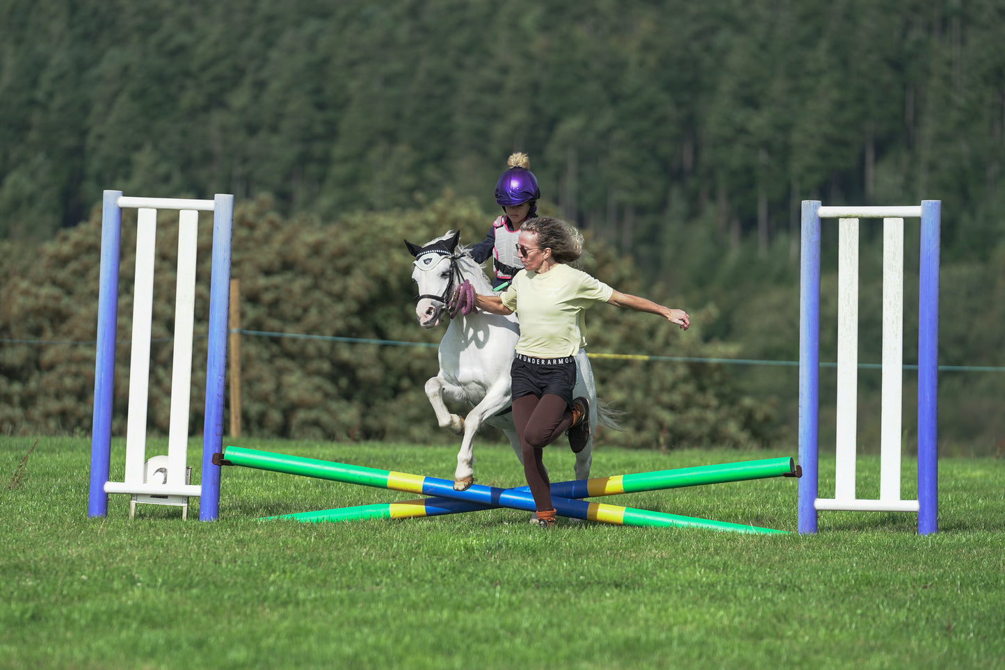 lanlivery show jumping rings part 1