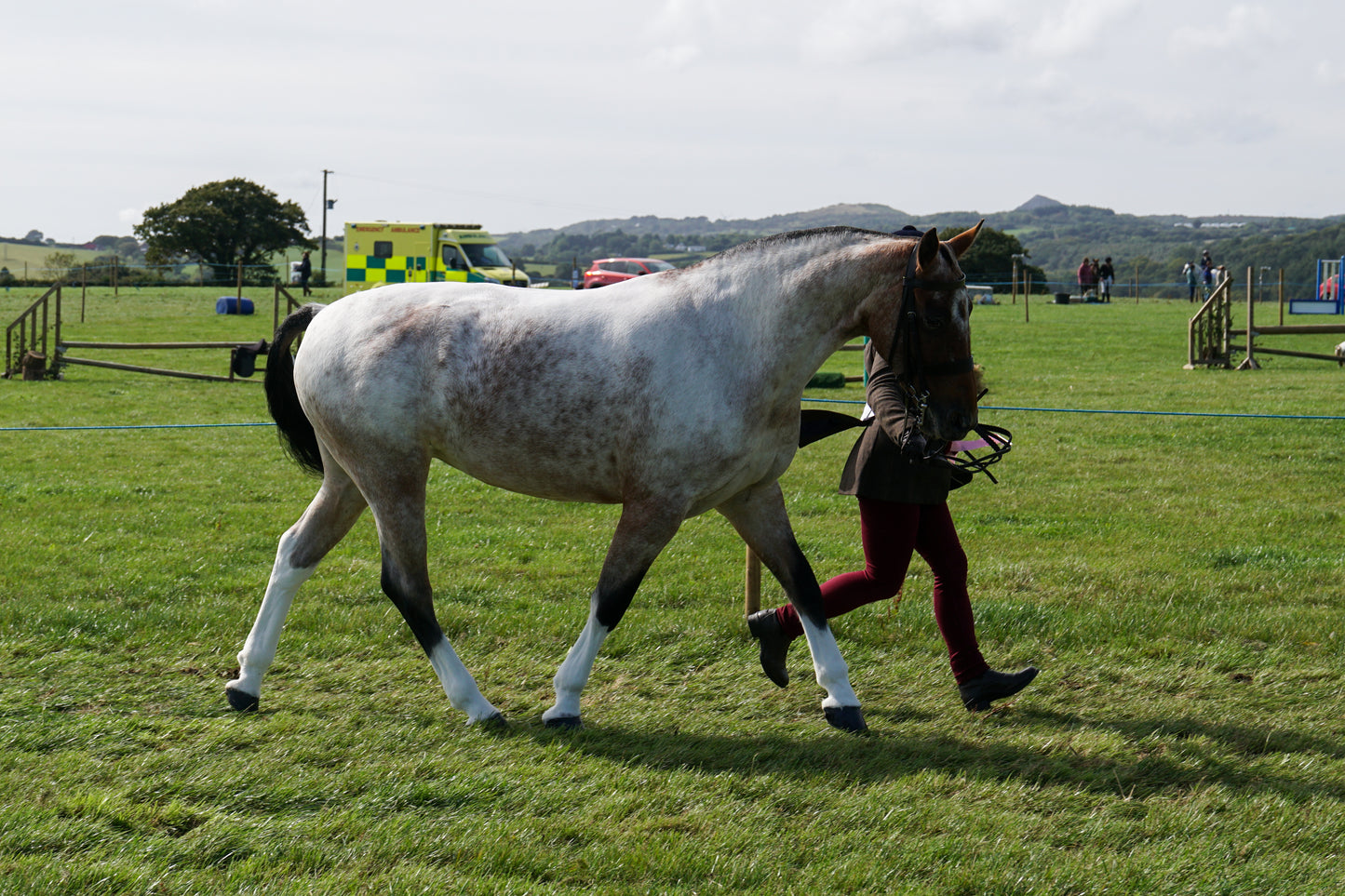 lanlivery show in hand part 4