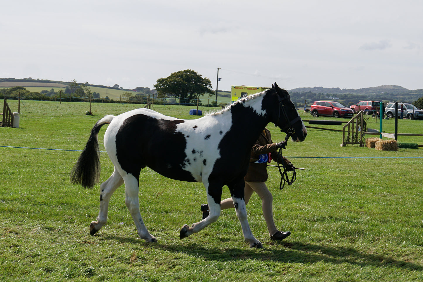 lanlivery show in hand part 4