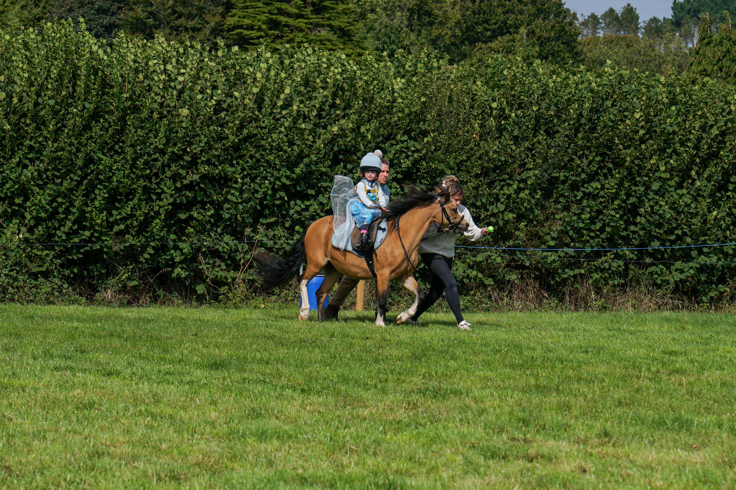 lanlivery show in hand part 4