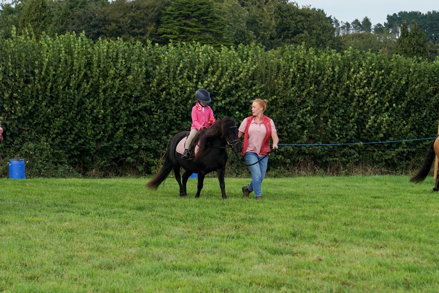 lanlivery show in hand part 4