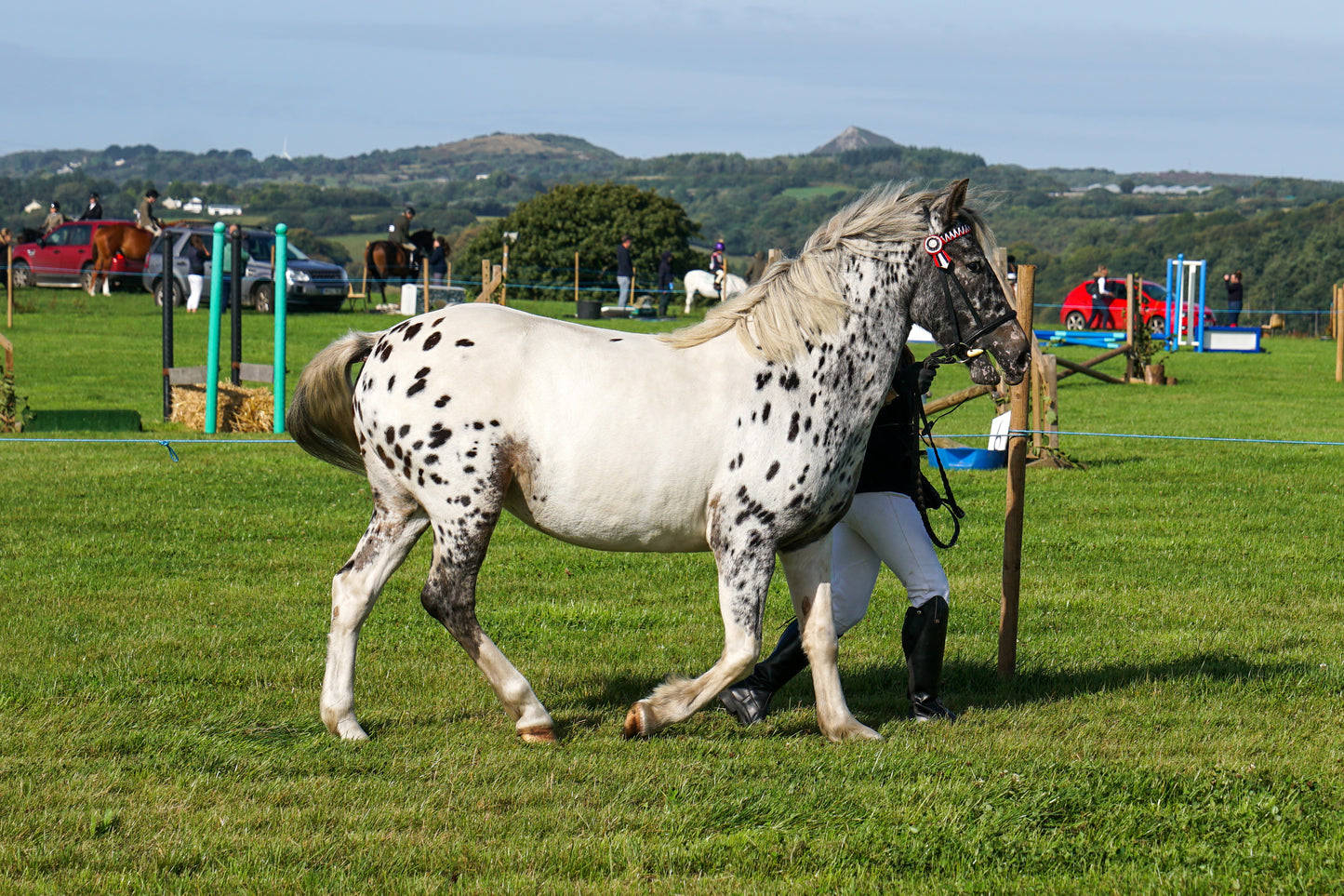 lanlivery show in hand part 1