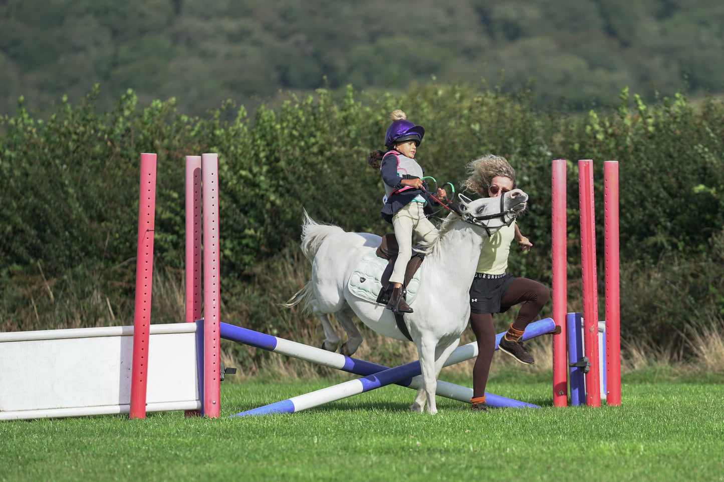 lanlivery show jumping rings part 1