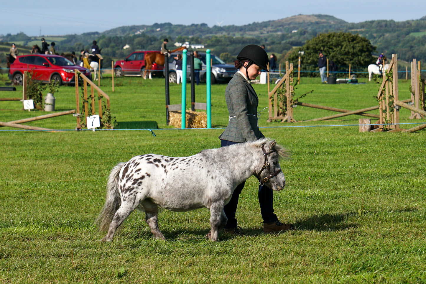 lanlivery show in hand part 1