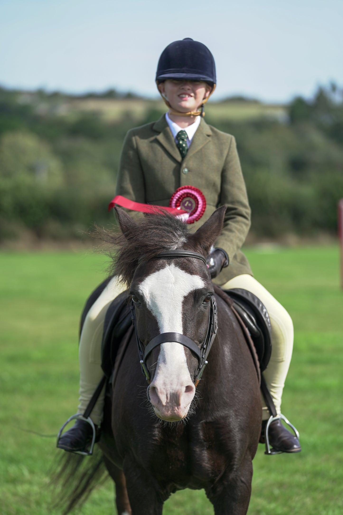 lanlivery show jumping rings part 1