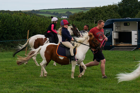 lanlivery show in hand part 5