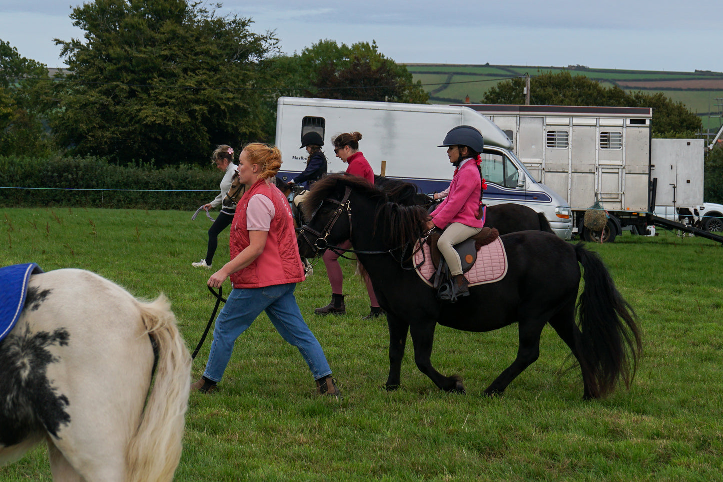 lanlivery show in hand part 5