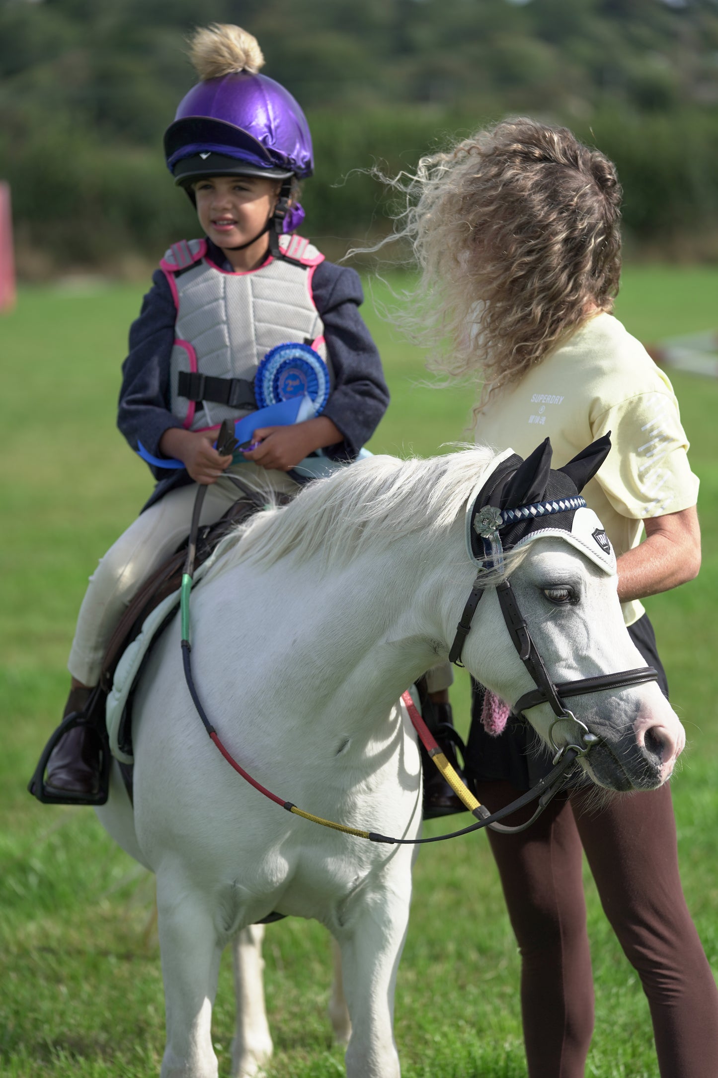 lanlivery show jumping rings part 1