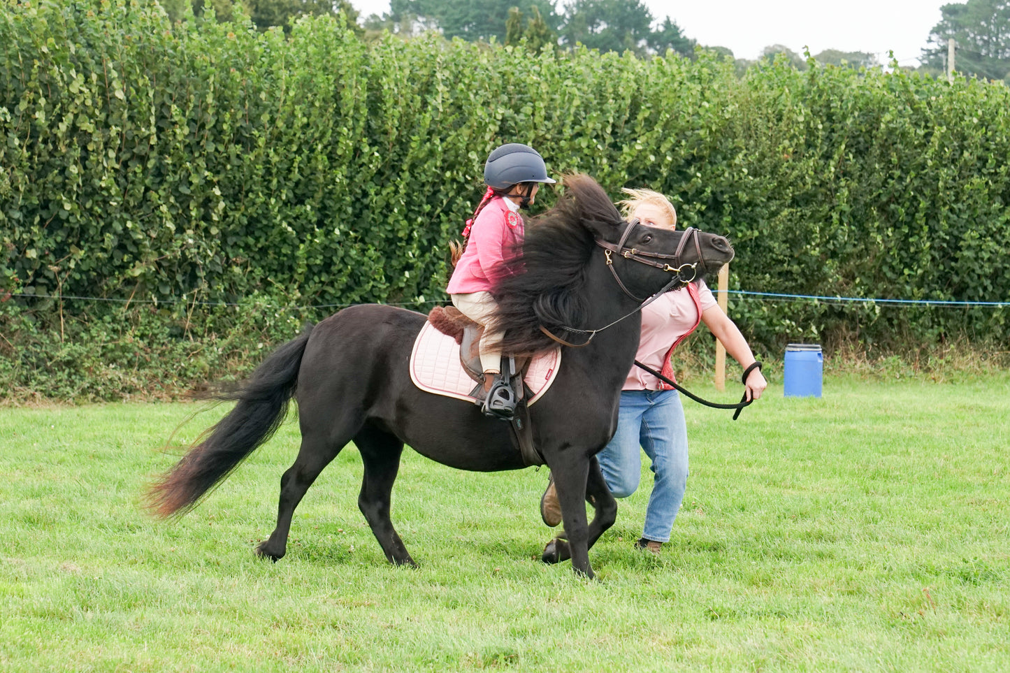 lanlivery show in hand part 5