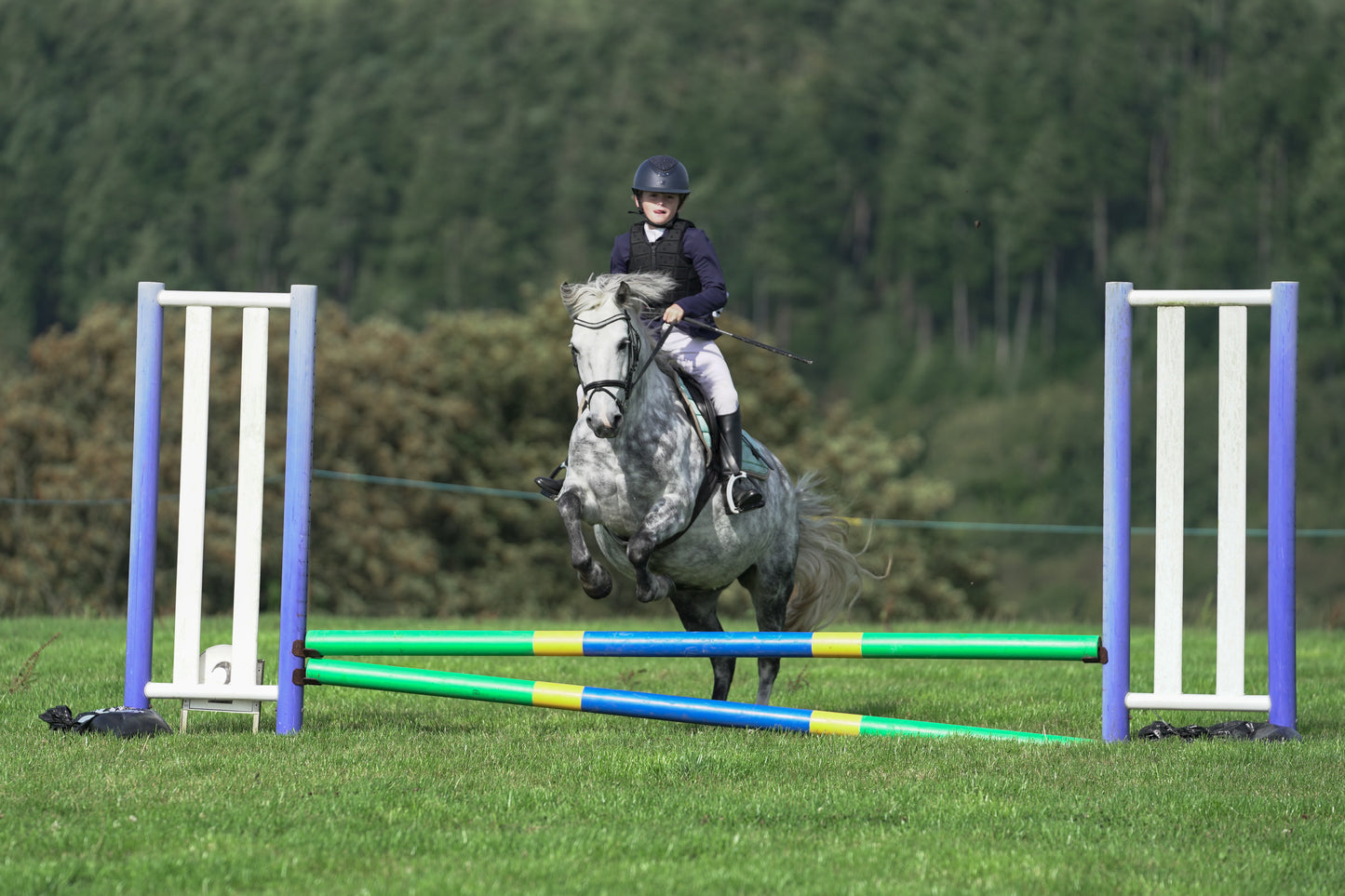 lanlivery show jumping rings part 1