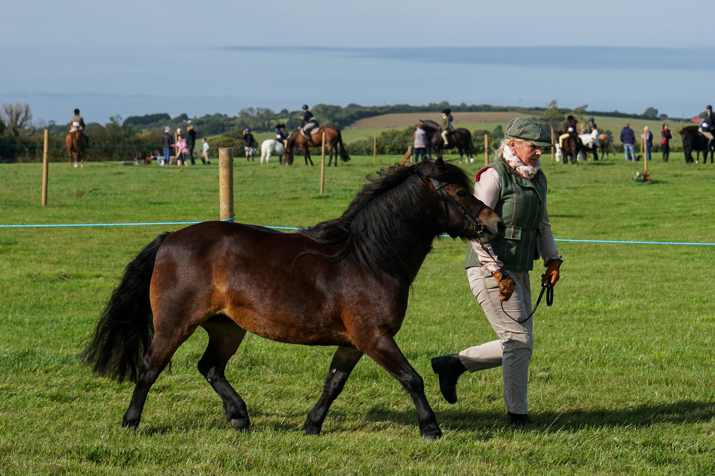 lanlivery show in hand part 1