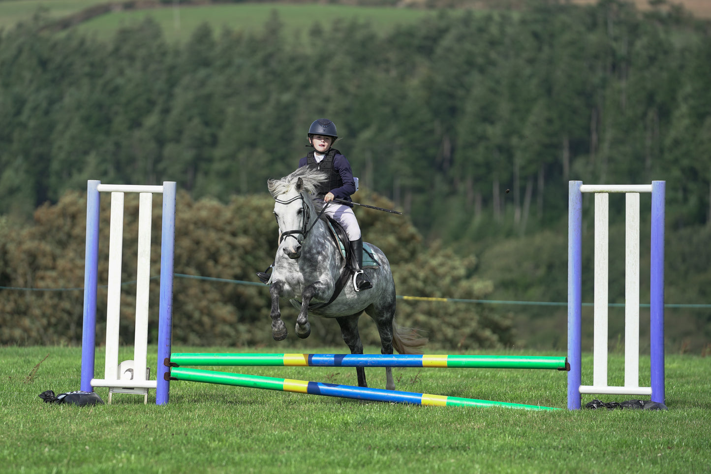 lanlivery show jumping rings part 1