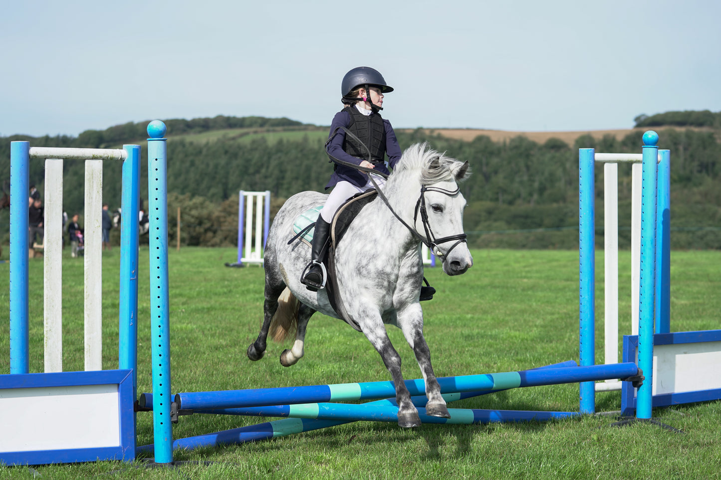 lanlivery show jumping rings part 1