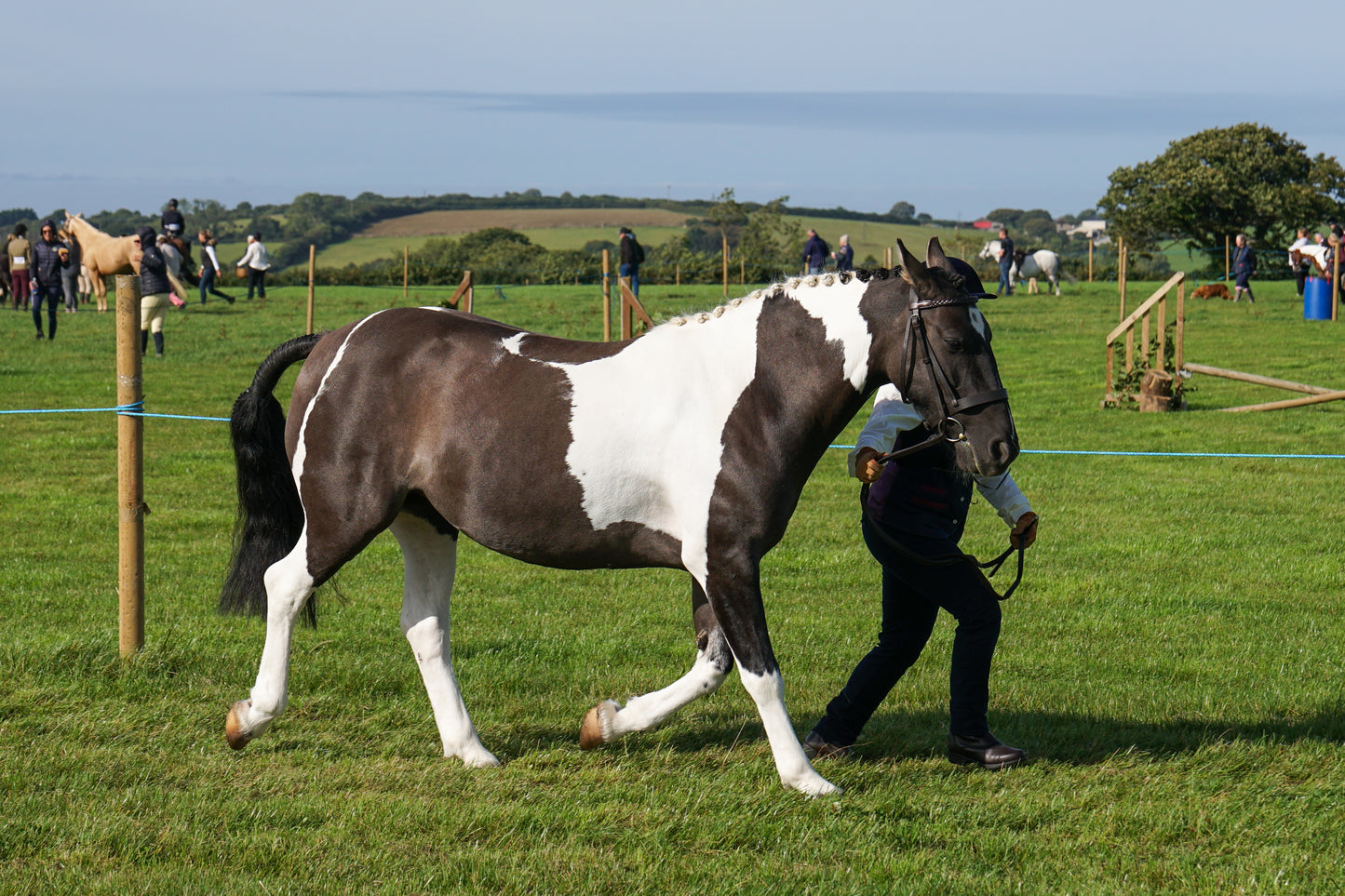 lanlivery show in hand part 1
