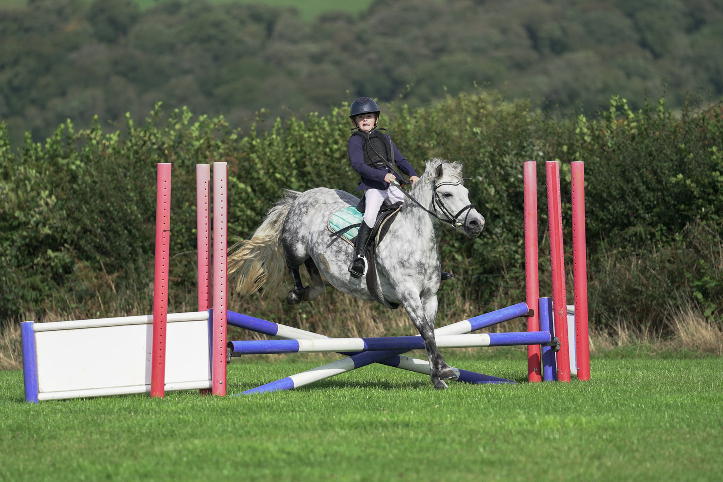 lanlivery show jumping rings part 1