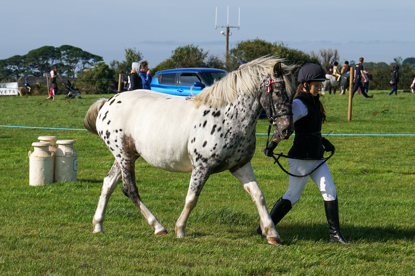 lanlivery show in hand part 1