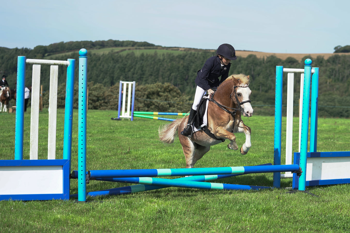 lanlivery show jumping rings part 1