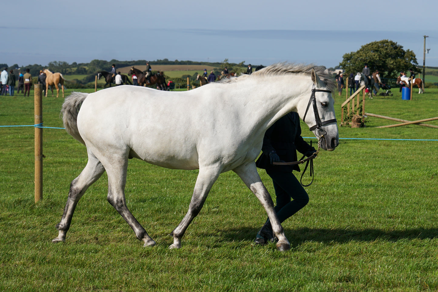 lanlivery show in hand part 1