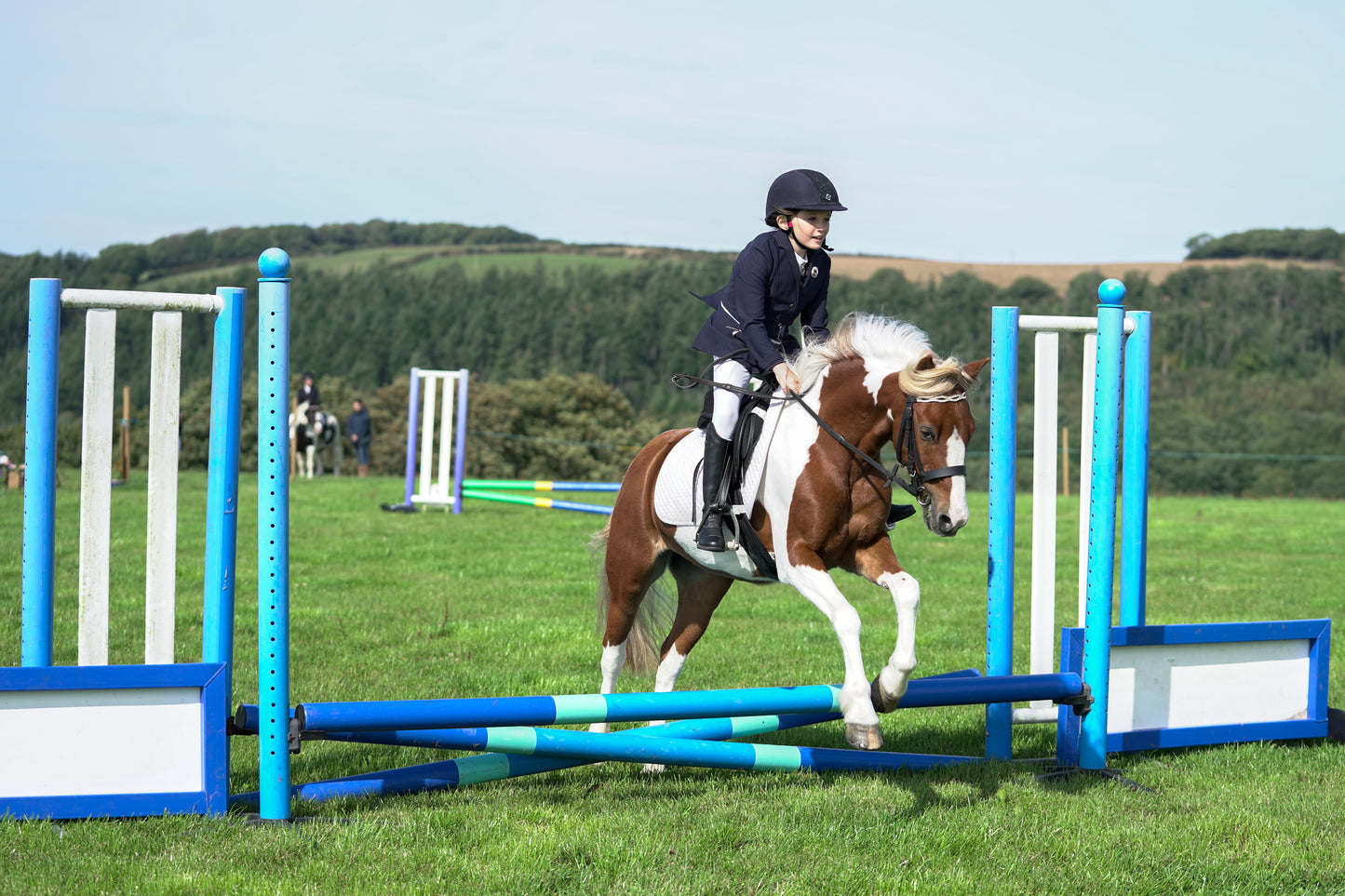 lanlivery show jumping rings part 1