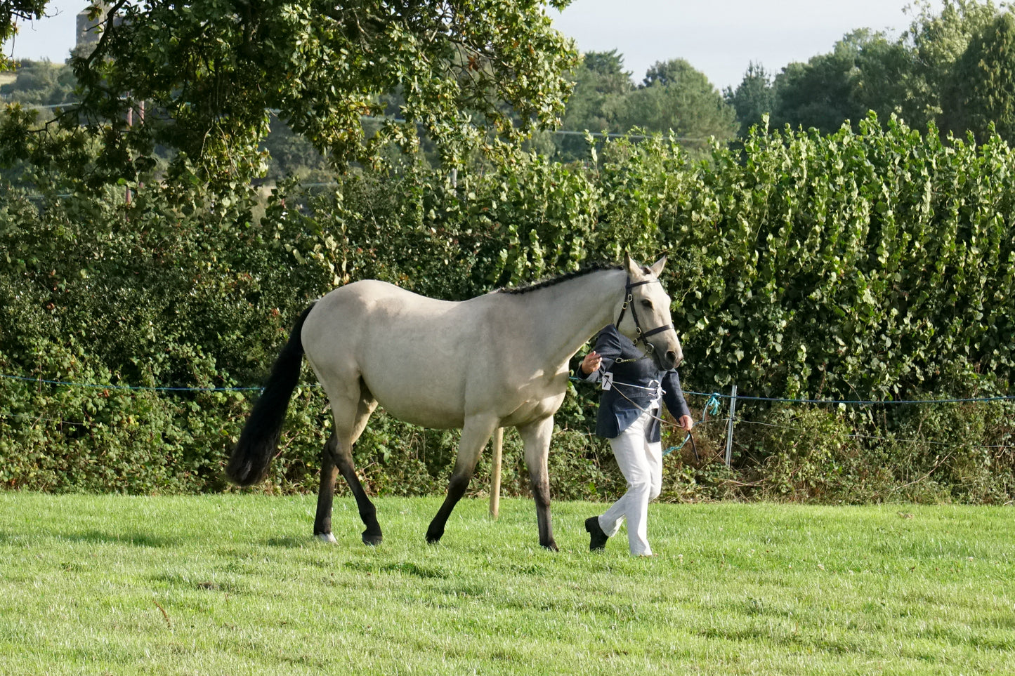 lanlivery show in hand part 1