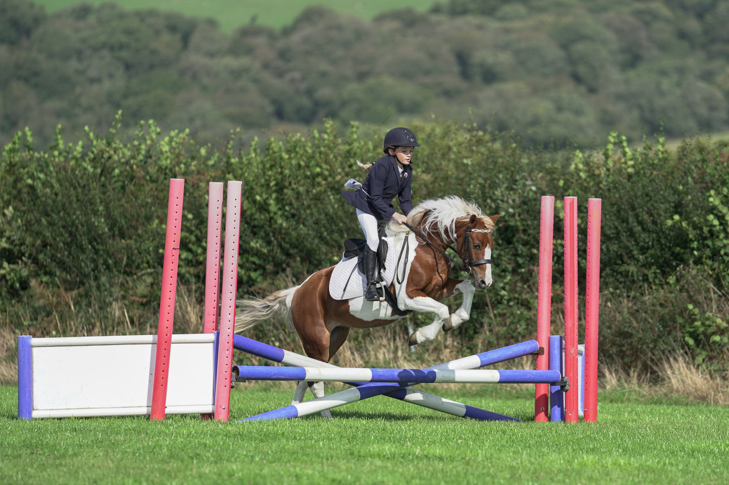lanlivery show jumping rings part 1