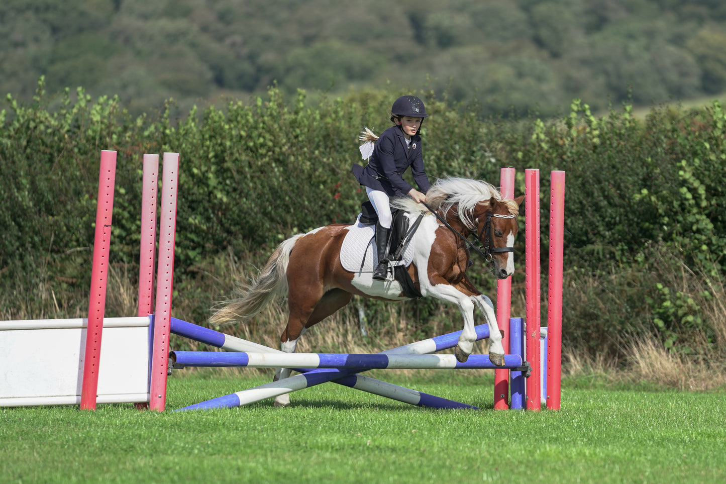 lanlivery show jumping rings part 1
