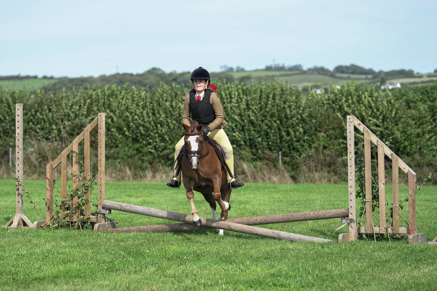 lanlivery show jumping rings part 1