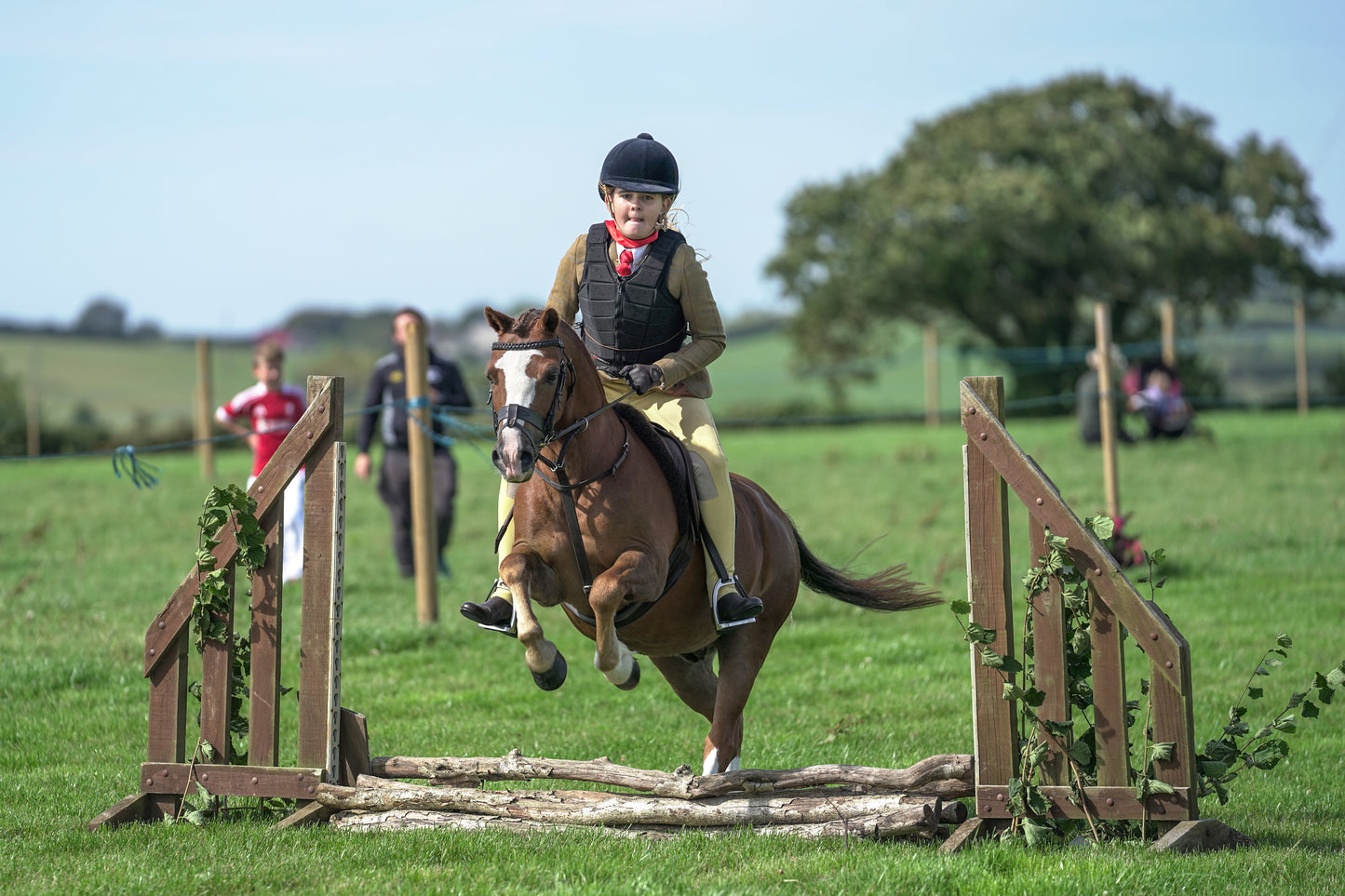 lanlivery show jumping rings part 1