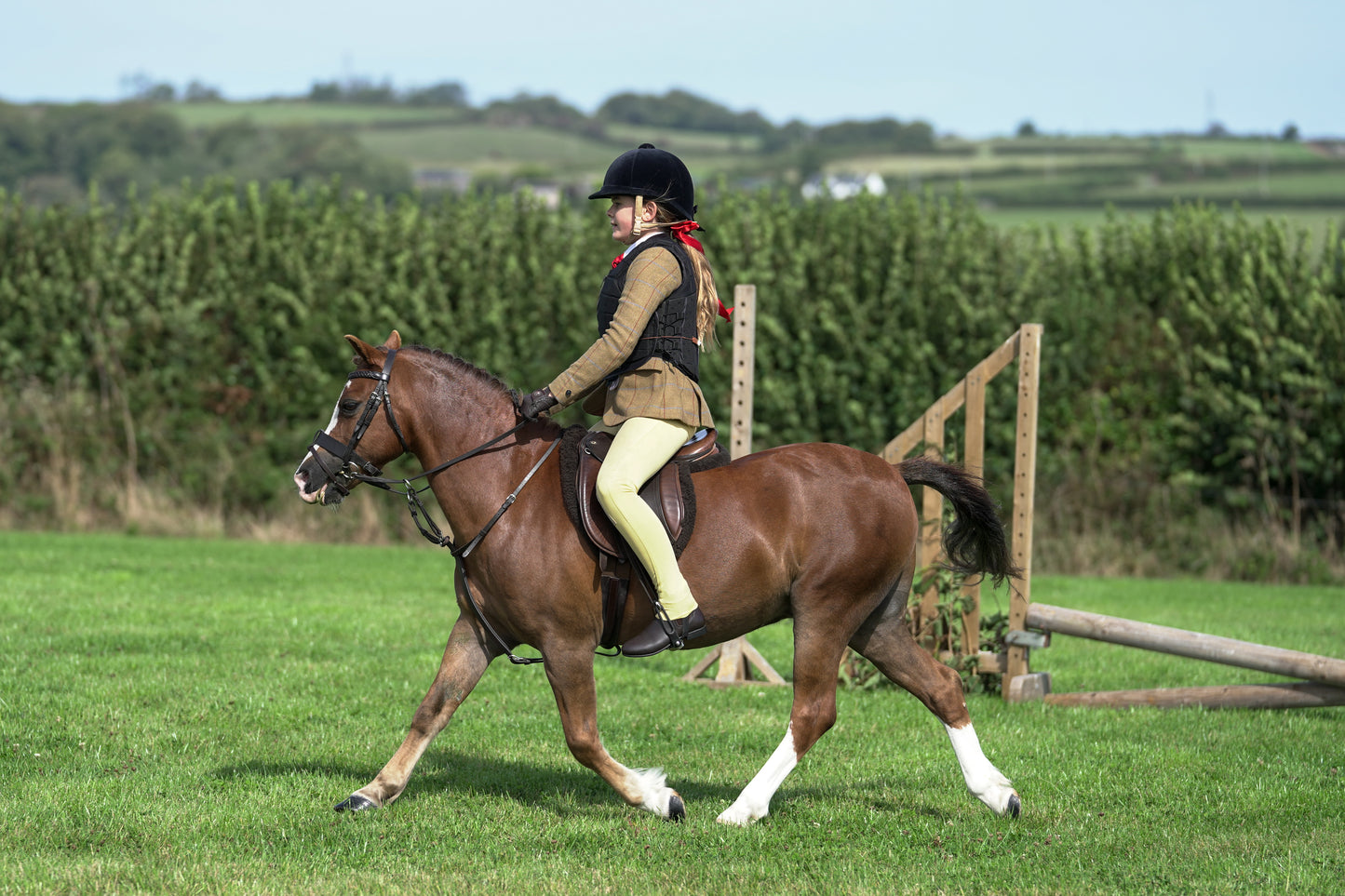 lanlivery show jumping rings part 1