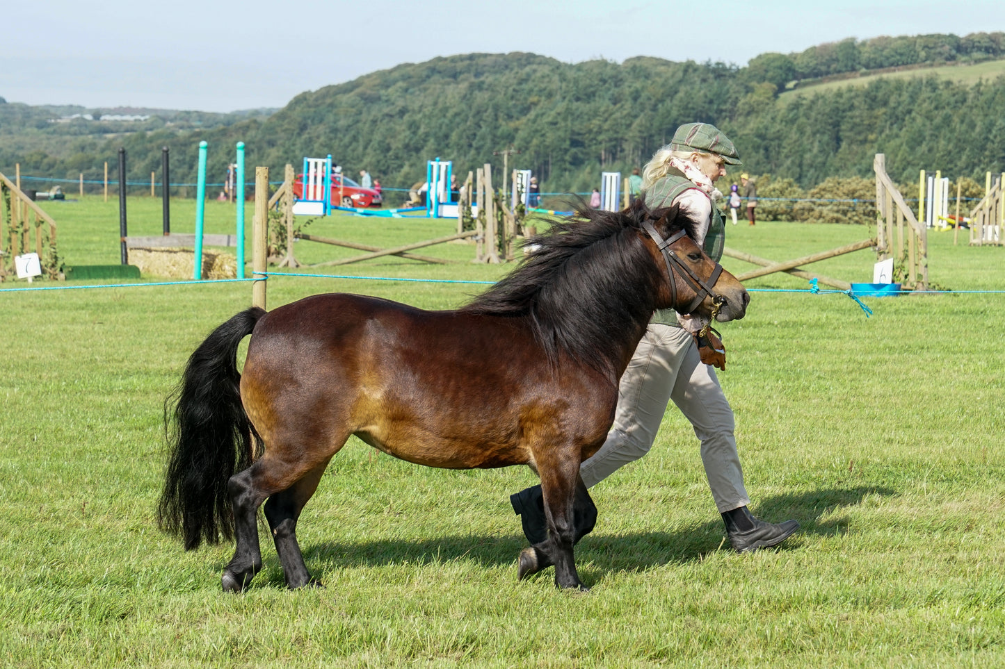 lanlivery show in hand part 1